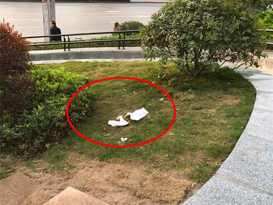 家长放任小孩在草坪大便 市民劝阻遭怼:关你屁事
