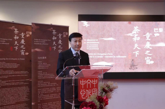 巴黎中国文化中心主任刘红革