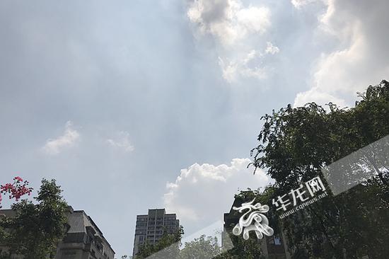 阳光明媚,气温依旧高。记者 李裕锟 摄