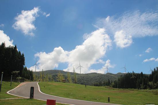 冷水自驾营地