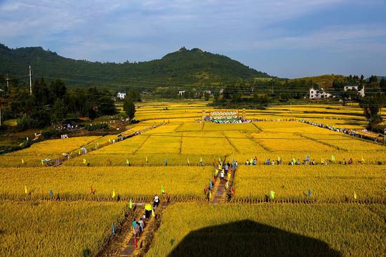 首届合川农民丰收节现场
