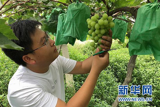 蒋坤。新华网发