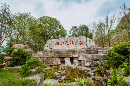 龙湾森林公园(源:两江景观公司)