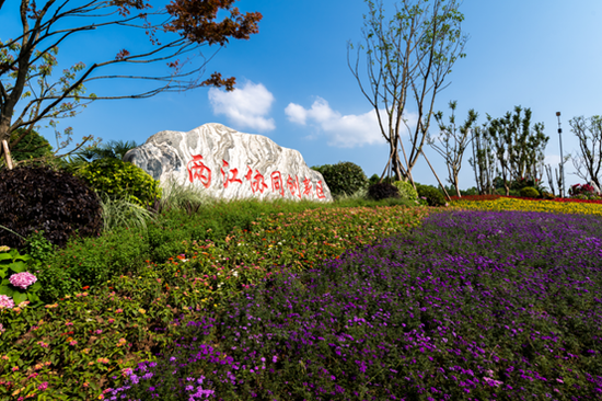 (两江协同创新区 张坤琨 摄)
