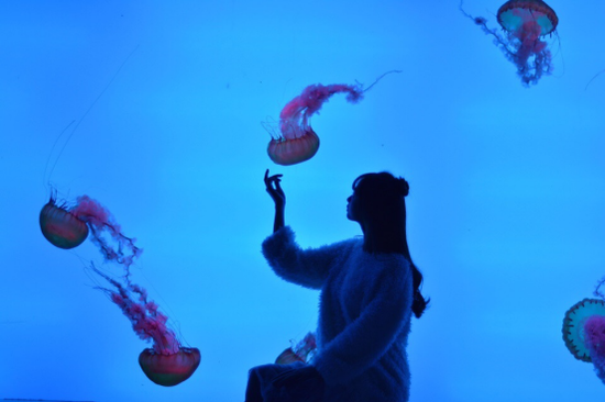 游客在“银河水母馆”实拍