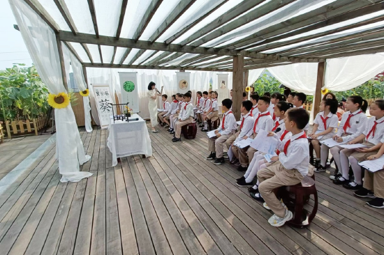 师生在向日葵花海中上课。(刘霞 摄)