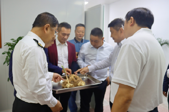 相关领导检查待加工黄精样品。