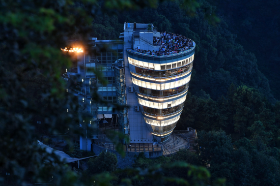 南山一棵树