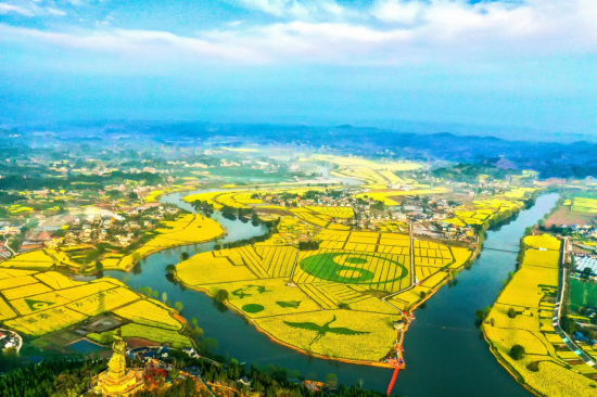 陈抟故里•崇龛花海景区 中国最美花海 国家AAAA级旅游景区