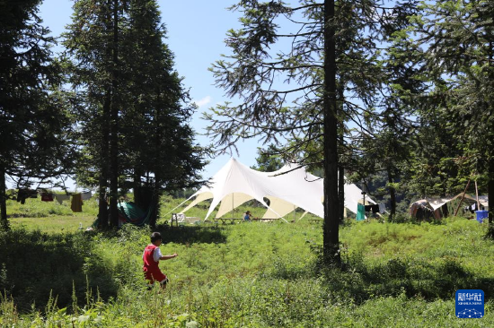8月14日,孩童在石柱县千野草场景区秀岭露营基地玩耍。新华社记者周思宇 摄