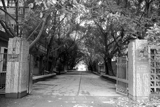 《 合川火柴厂大门》 唐坤华摄于2008年