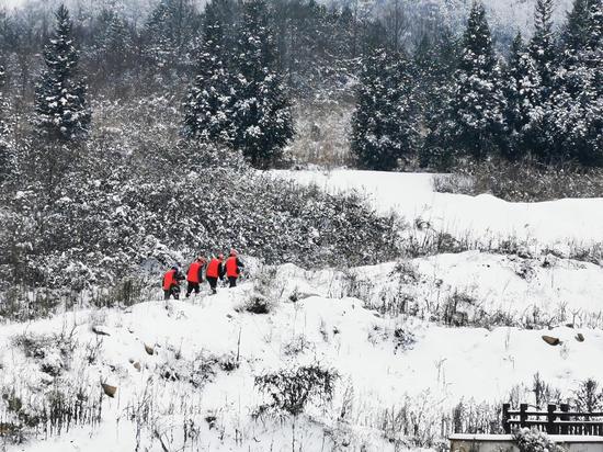 国网重庆云阳供电公司员工在海拔1500的清水土家族自治乡岐山村巡视10千伏峰缸线覆冰情况(任勇 摄)