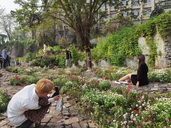 藏在百年建筑里的“荒野花园” 吸引众多游客打卡