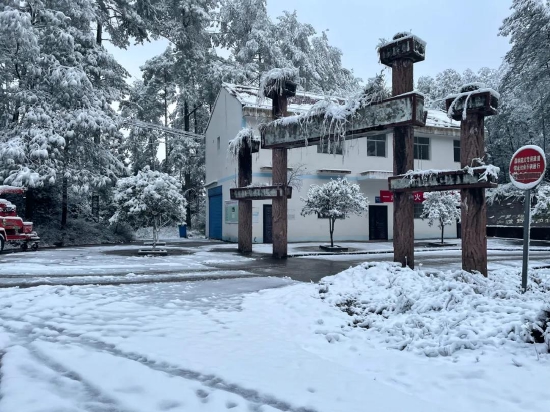 天池森林公园雪景