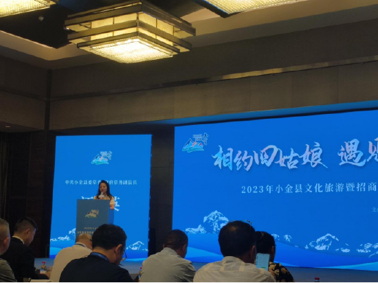 小金县委常委、常务副县长汪英
