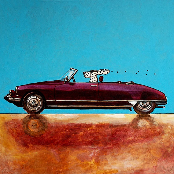 汪星人飙车小漫画 汪，上车带你兜风去！