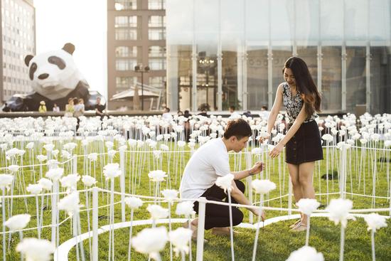 付辛博颖儿牵手点亮成都IFS花海展 关系扑朔迷