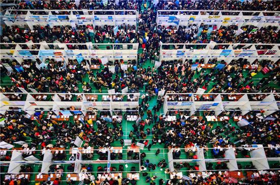 求职高峰来了!技术和设计成应届生最亲睐的岗