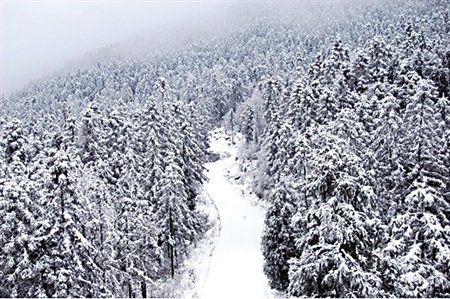 开州区的满月乡就下了今冬第一场雪,而在开州区国家级森林公园雪宝山
