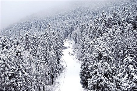 开州雪宝山最佳赏雪季