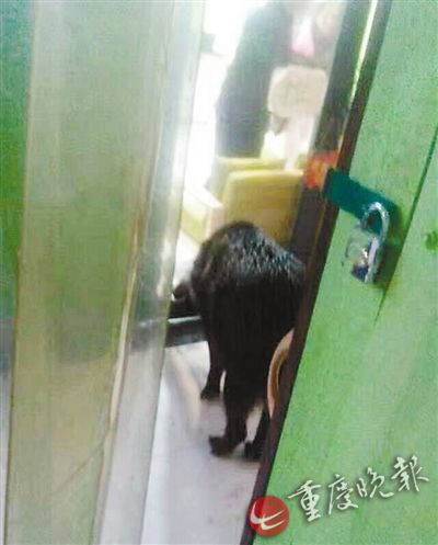 2 闯到书店