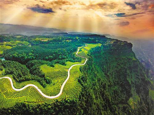 巴南区跳石镇茶山