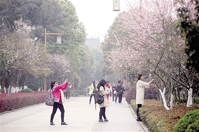好天气,市民公园赏花。 本报记者 雷键 摄