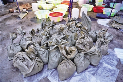 民警查获氯胺酮(K粉)成品、半成品共计1.2吨。 警方供图