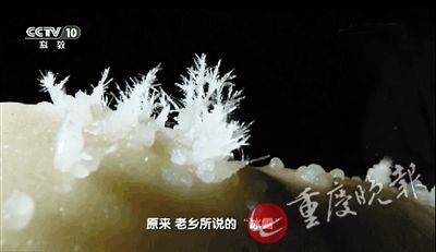 神秘洞穴内的沉积物