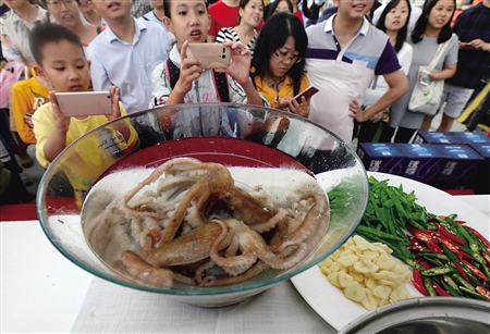 玻璃盘中的章鱼 记者 郑友 摄