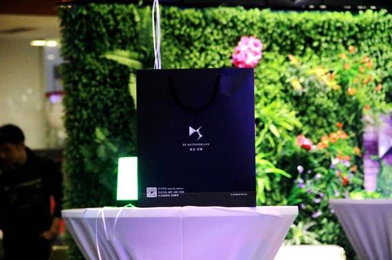 科技升级服务加码 DS 2018款升级上市_重庆汽