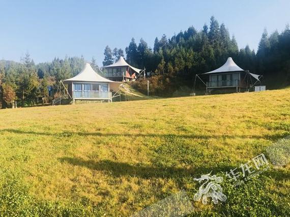 游客可在营地里住风情别致的小屋。记者 刘艳 摄