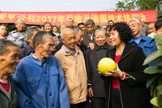 图片5