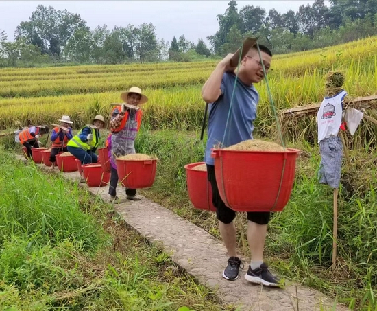 120名志愿者走进皇华岛体验农事活动