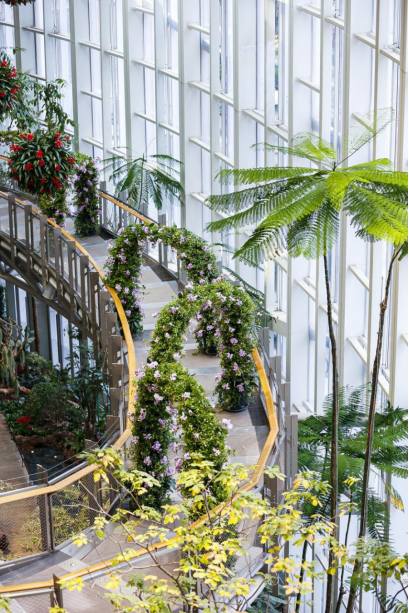 植物园廊桥上的鲜花拱门。(重庆光环购物公园供图)