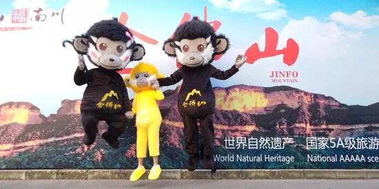 南川吉祥物黑叶猴