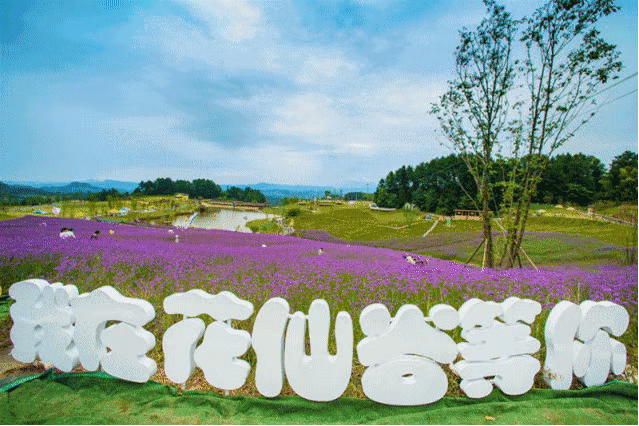 ▲ 陈星宇 摄