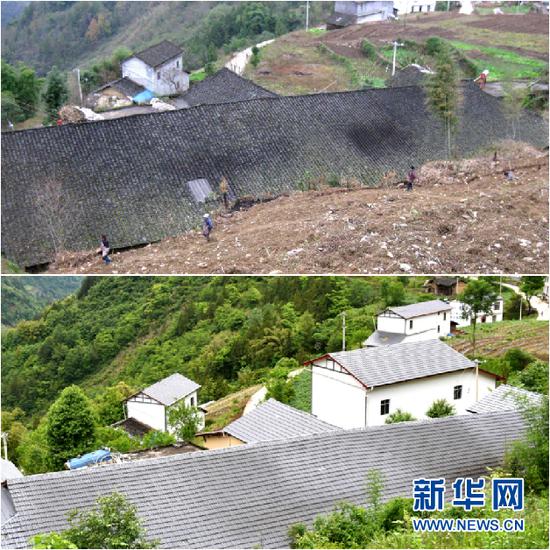 改造前(上图)的民居与改造后(下图)的民宿对比图。新华网发(茶山村供图)