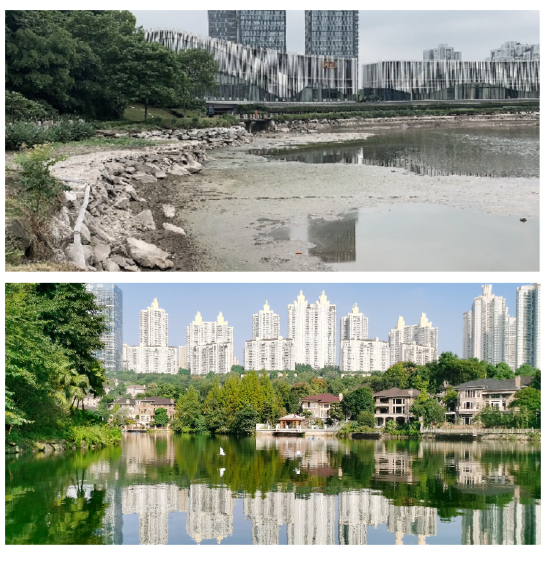 盘溪河项目修复前后对比图