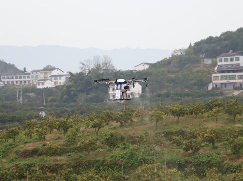 (5G网联植保无人机作业现场)