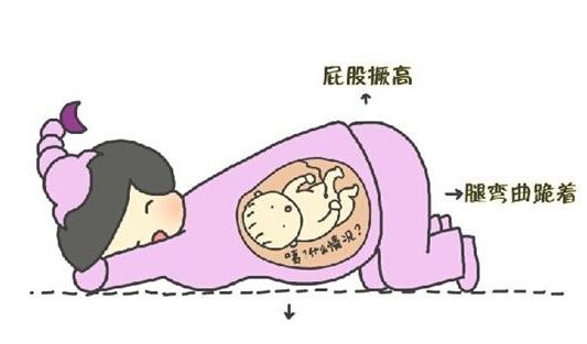 一不小心怀上“逆子”怎么办