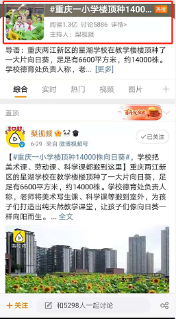 楼顶上的向日葵课堂