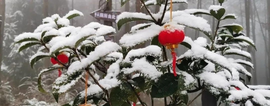 大岭佛耳岩景区雪景