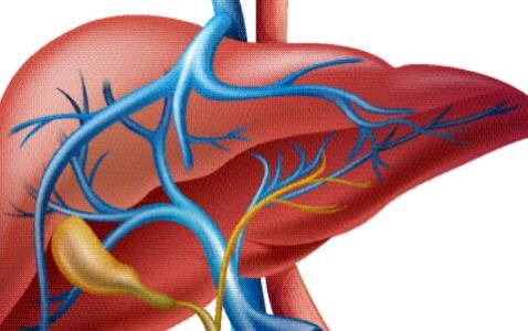 一文看懂 乙肝通过什么传染?