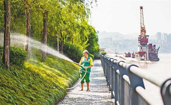 7月22日上午9点17分,巴南区巴滨路滨江步道,趁植被还没有被烈日暴晒,园林绿化工抓紧时间为植被浇水。记者 齐岚森 摄