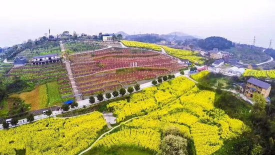 歌乐山镇一麓欢歌