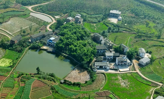 沙坪坝:实施乡村振兴战略行动计划势在必行