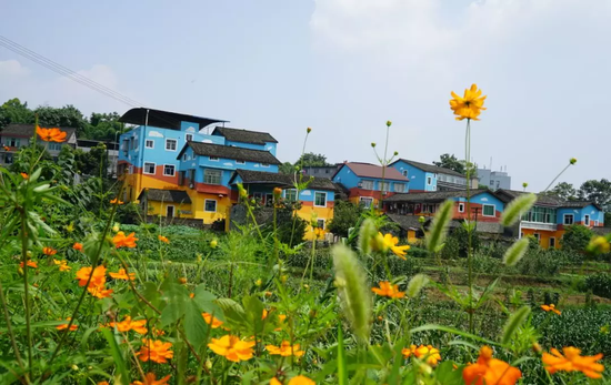 沙坪坝:实施乡村振兴战略行动计划势在必行