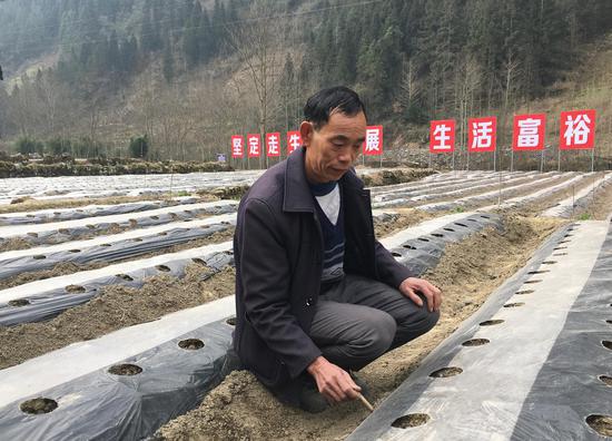 重庆石柱县人口概况_...襄城县] 基本简介-城关镇(2)