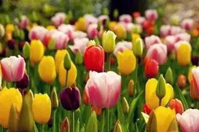 重庆市五届人大一次会议选举出全国人大代表6